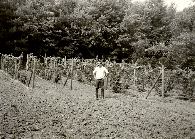 A black and white photo of a young Dominic Strohlein, vintner of Big Creek Vineyard, standing proudly with his hands on his hips in front of the rows of some of the earliest vines grown in his vineyard. He's smiling because he has no idea about the many, many mistakes he will spend years discovering and fixing as a novice grower of grapes.